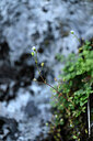 BUITEN BEELD Foto: 440156