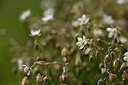 BUITEN BEELD Foto: 440157
