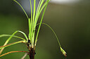 BUITEN BEELD Foto: 440159