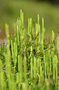 BUITEN BEELD Foto: 440164
