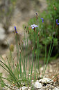 BUITEN BEELD Foto: 440165