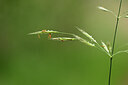 BUITEN BEELD Foto: 440166
