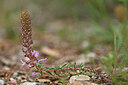 BUITEN BEELD Foto: 440171