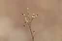 BUITEN BEELD Foto: 440174