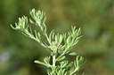 BUITEN BEELD Foto: 440176