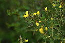 BUITEN BEELD Foto: 440178