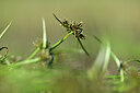 BUITEN BEELD Foto: 440179