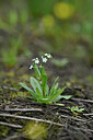 BUITEN BEELD Foto: 440180
