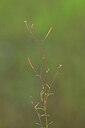 BUITEN BEELD Foto: 440181