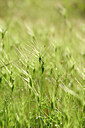 BUITEN BEELD Foto: 440183
