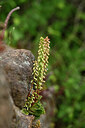 BUITEN BEELD Foto: 440188