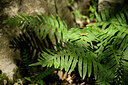 BUITEN BEELD Foto: 440192