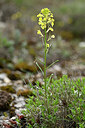 BUITEN BEELD Foto: 440193