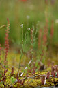 BUITEN BEELD Foto: 440196