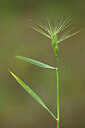 BUITEN BEELD Foto: 440200