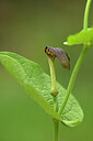 BUITEN BEELD Foto: 440203
