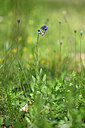 BUITEN BEELD Foto: 440208