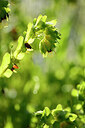 BUITEN BEELD Foto: 440211