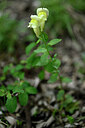 BUITEN BEELD Foto: 440214