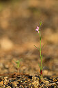 BUITEN BEELD Foto: 440216