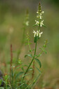 BUITEN BEELD Foto: 440217