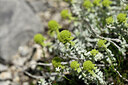 BUITEN BEELD Foto: 440218
