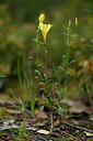 BUITEN BEELD Foto: 440221