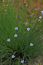 BUITEN BEELD Foto: 440223