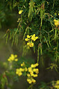 BUITEN BEELD Foto: 440225