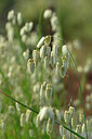 BUITEN BEELD Foto: 440228