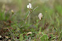 BUITEN BEELD Foto: 440230