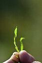 BUITEN BEELD Foto: 440232