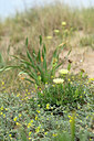 BUITEN BEELD Foto: 440237