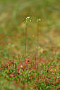 BUITEN BEELD Foto: 440239