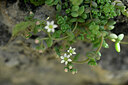 BUITEN BEELD Foto: 440240