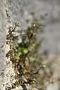 BUITEN BEELD Foto: 440241