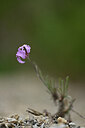 BUITEN BEELD Foto: 440247