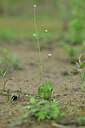 BUITEN BEELD Foto: 440249