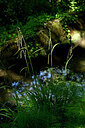 BUITEN BEELD Foto: 440250