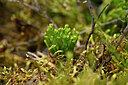 BUITEN BEELD Foto: 440252