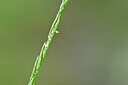 BUITEN BEELD Foto: 440254