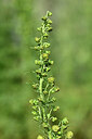 BUITEN BEELD Foto: 440255