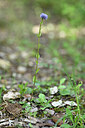 BUITEN BEELD Foto: 440264