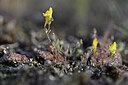 BUITEN BEELD Foto: 440265