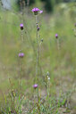 BUITEN BEELD Foto: 440266