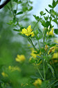 BUITEN BEELD Foto: 440267