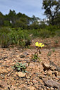 BUITEN BEELD Foto: 440271