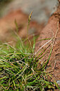 BUITEN BEELD Foto: 440272