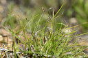 BUITEN BEELD Foto: 440278
