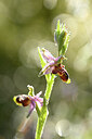 BUITEN BEELD Foto: 440301